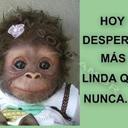 SILVIA ARANGO CAMIRO - @SILVIAARANGOCAM - Twitter