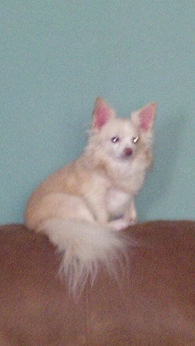 LindseyPerryTn's profile picture. 