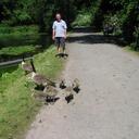 Harry Dooley - @Castaneawoll - Twitter