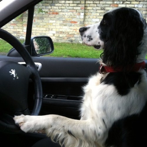 Guysmart's profile picture. 