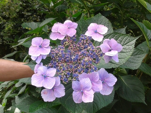 debbie65_da's profile picture. 