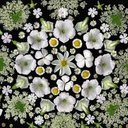 Deborah Trout-Kolb - @DeborahTroutKol - Twitter