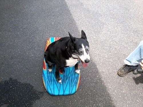 NickVasta's profile picture. 