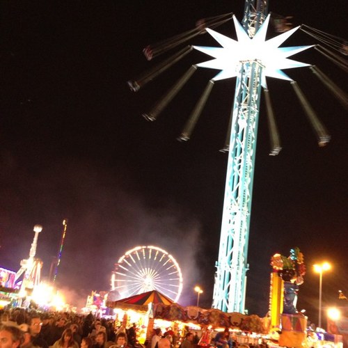 shickingbotham's profile picture. 