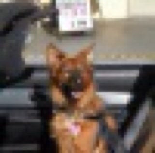 marti431uew's profile picture. 