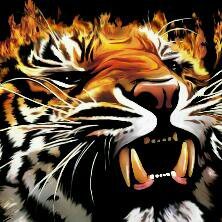 Just follow  i follow back tanks