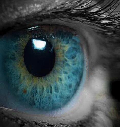 djbuticrude's profile picture. 