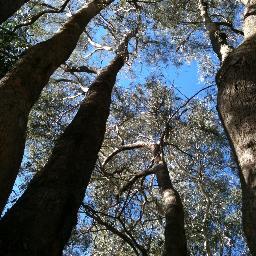 Krizkraz02's profile picture. Mother fighting for civil +human rights. Homeless advocate. My opinions are my own. Smile and fight the good fight.