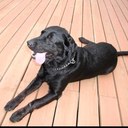 Joe Petrick - @Jpetrick89 - Twitter