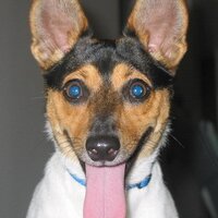 Malloc (@malloc) 's Twitter Profile