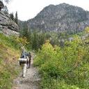 Richard Ge - @RichardGe01 - Twitter