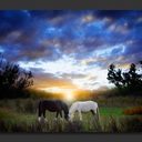 Veronica Marroquin - @VerooMarroquin - Twitter