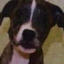 Bethany Waldron - @MistyPumpkin - Twitter