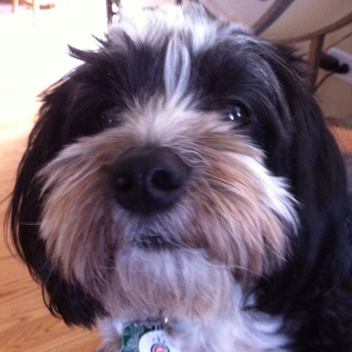 msbrisk1945's profile picture. 