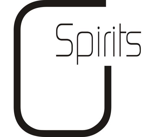 To create perfect taste we let every single drop of our spirits run over the breasts of a special woman, one whose characteristics best reflected GSpirits