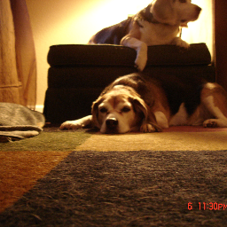 babz98193414's profile picture. 80's fan.