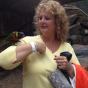 Robin Pratt - @rdpratt19 - Twitter