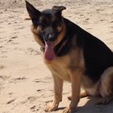 Ann Lawton - @LawtonAnn - Twitter