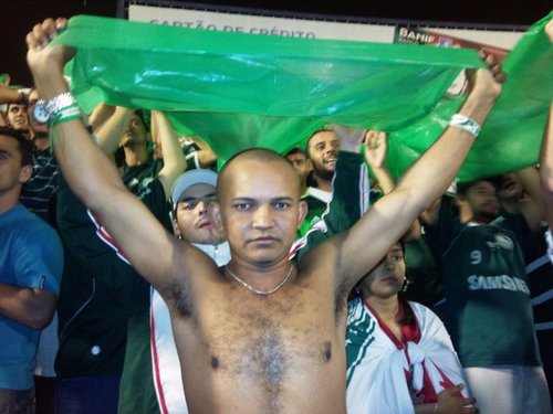 palmeiras