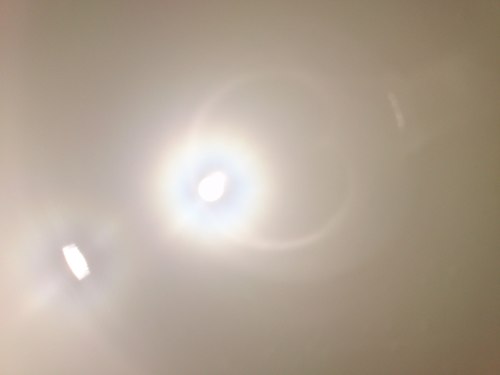 MandroidVernica's profile picture. 