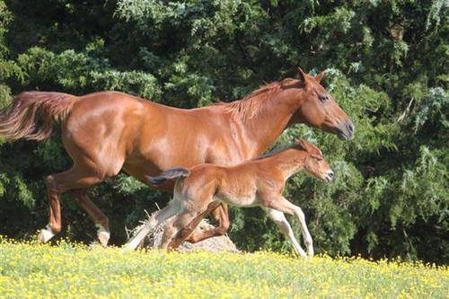 copenhagen9's profile picture. 