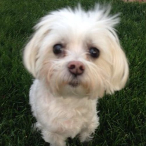 julieandchuck's profile picture. 