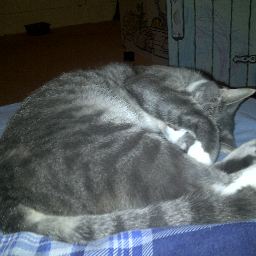 Nothakun's profile picture. Twitter isn't so bad actually.