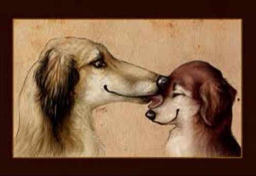 Sharing Saluki kisses, doggy style!