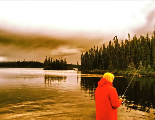 waterloggedpics's profile picture. Photographing everything Waterlogged.