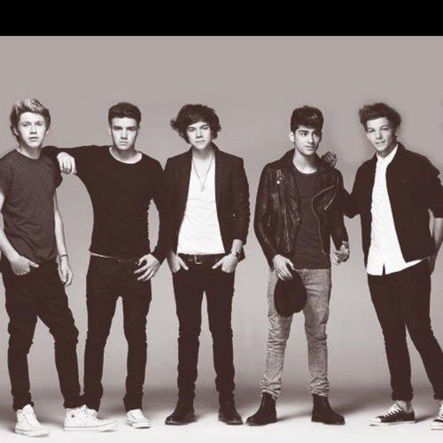 Niall Horan, Harry Styles, Liam Payne, Louis Tomlinson, and Zayn Malik will always be my 5 idiots on the stairs! I saw them live on 6/9/12. Directioner forever!