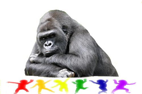 rainbow5li's profile picture. 