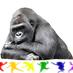 RG (@rainbow5li) Twitter profile photo RG (@rainbow5li) Twitter profile photo