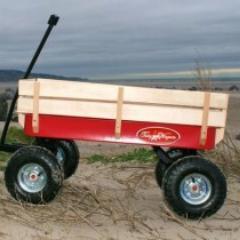 Ideal for carrying toys, tools, etc. to the beach, park or enabling the kids to help out in the garden. Built to last a lifetime.