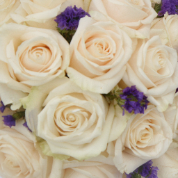 jmp1989's profile picture. I love Jesus. I believe love and education can change the world. I support good grammar. I hate typos.