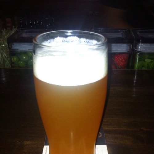 steinyipa's profile picture. chickens are not geese