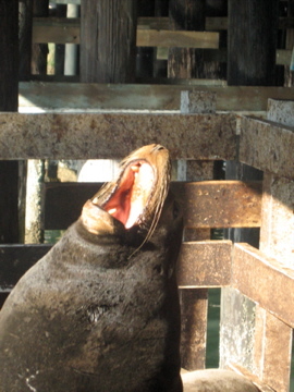 moreintents's profile picture. 