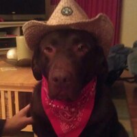 chad davis (@acoustics35chad) 's Twitter Profile