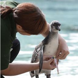 day_chloe's profile picture. 