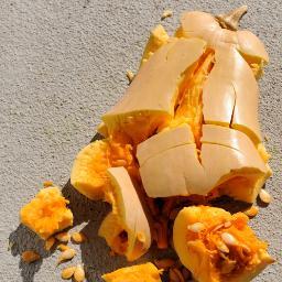 ConductWarning's profile picture. Conduct Warning : Squash Blog