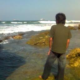 K0ngK0w's profile picture. #Airdrop