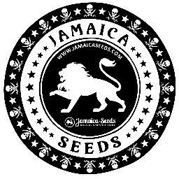 Keeping old school genetics , developing new genetics patterns. All our seeds are produced by natural selective breeding. Ecological production.