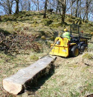 Promoting & supporting woodland crofts.  Helping sustain livelihoods through managing woodland. A partnership between CHT, SCF, CWA & Woodland Trust Scotland.