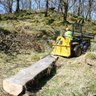 WoodlandCrofts's profile picture. Promoting & supporting woodland crofts.  Helping sustain livelihoods through managing woodland. A partnership between CHT, SCF, CWA & Woodland Trust Scotland.