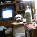 jada vance - @kisskiss24 - Twitter