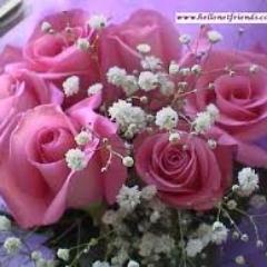 sheela54617328's profile picture. 