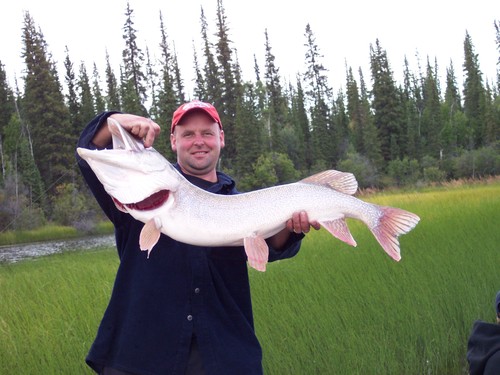 ac_toole's profile picture. Starting over is turning out to be harder than starting out in the begining