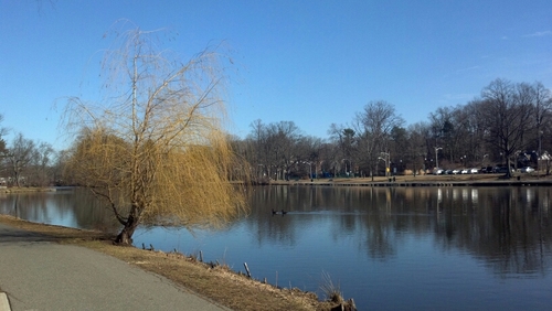 appraiser_00's profile picture. 