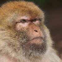 Theo Oberhuber (@theooberhuber) 's Twitter Profile