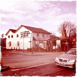 OrangeGroveMan's profile picture. The Orange Grove is better than ever. With new management, new staff, new drinks, new food. A great experience is on it's way to you!