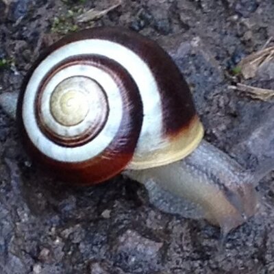 Profile Picture of Jane Alexander Carr (@JAlexanderCarr) on Twitter